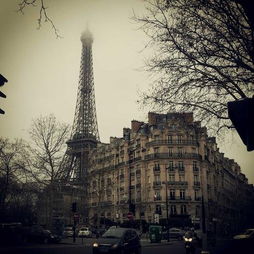 Picture